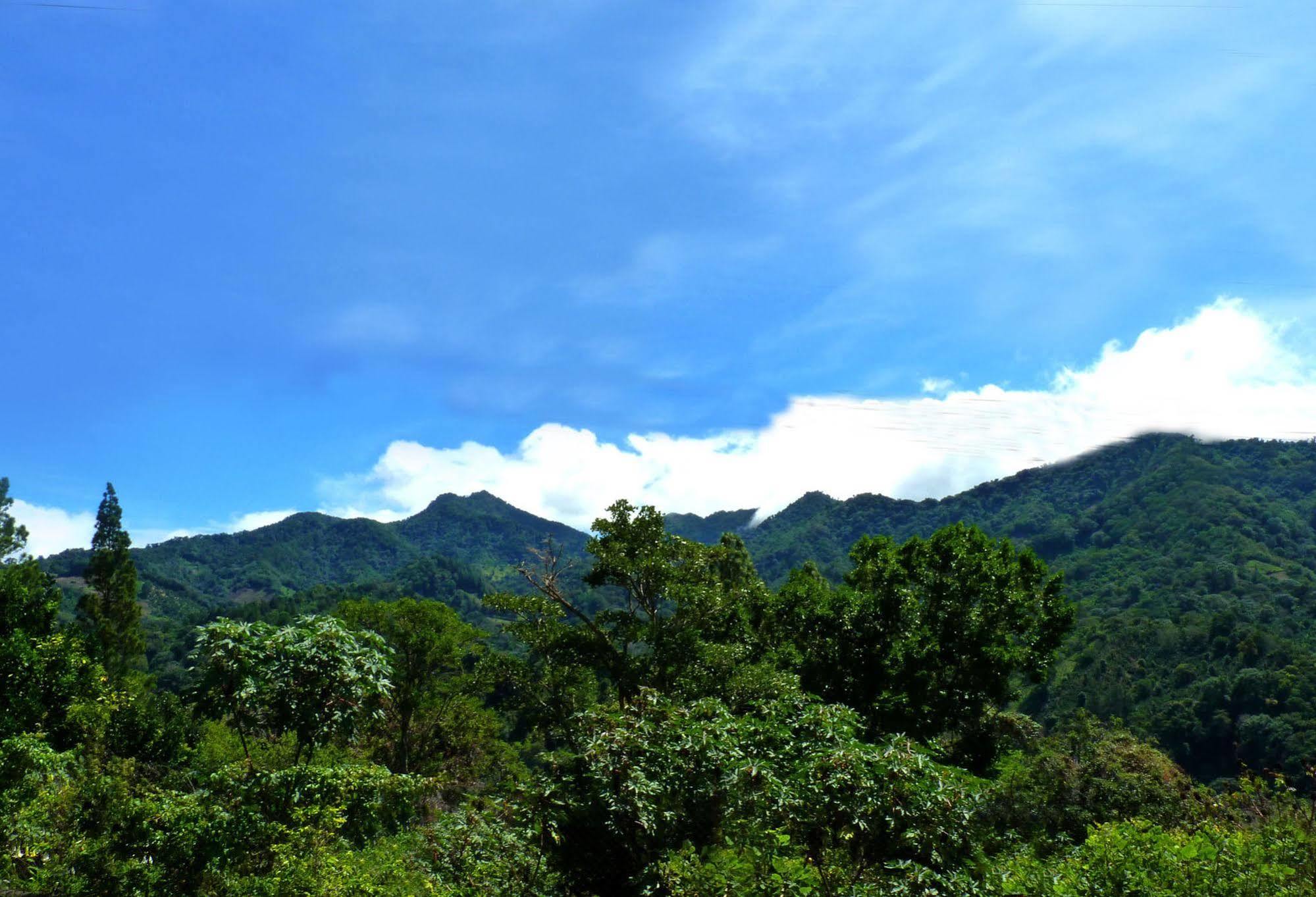 Autana Bed & Breakfast Boquete Ngoại thất bức ảnh
