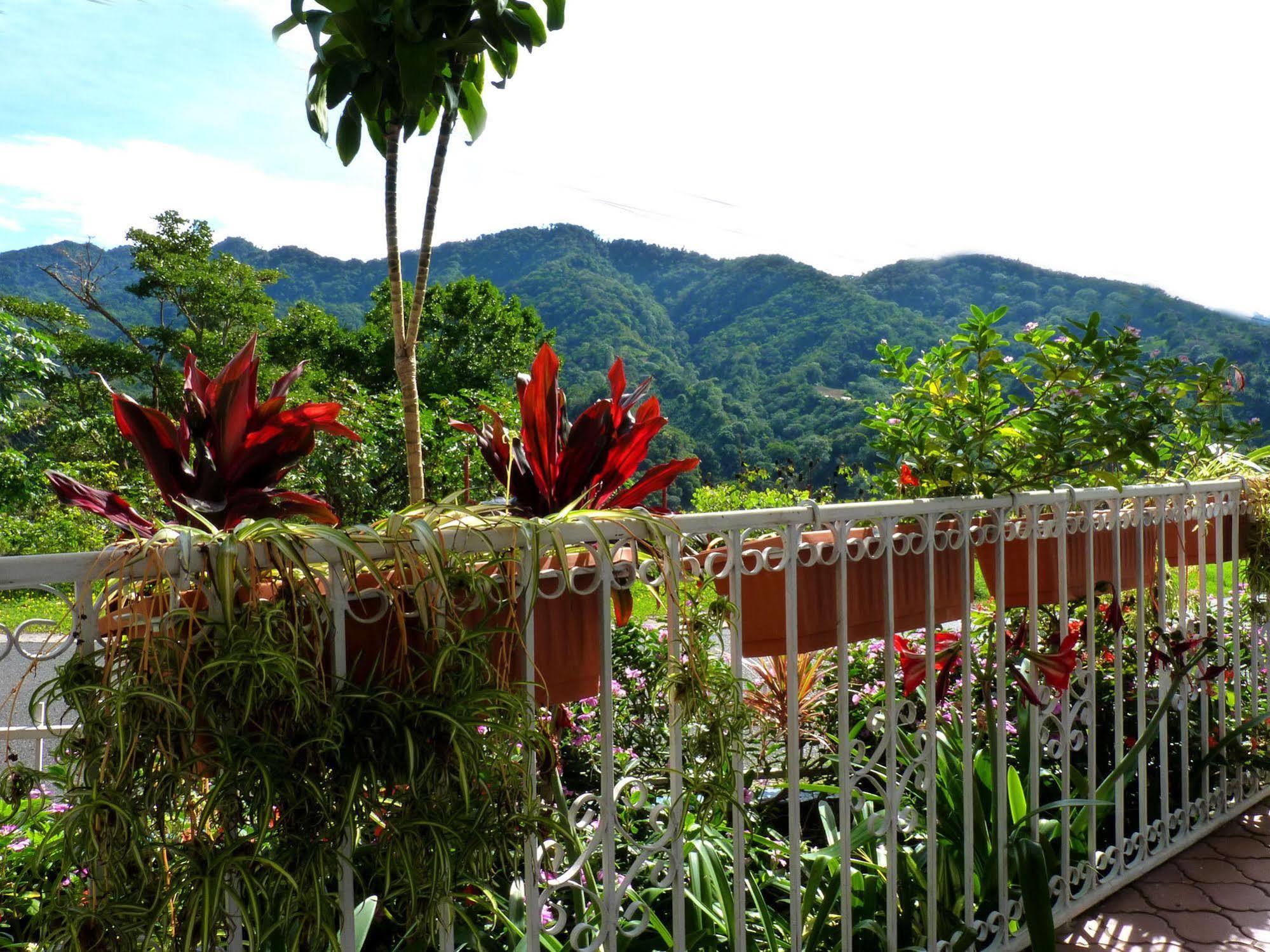 Autana Bed & Breakfast Boquete Ngoại thất bức ảnh